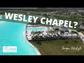 Wesley Chapel: What Is There and Why You Need To Know 💟