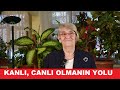 Kanli canli olmanin yolu ne ba arisi arpinti halszlk srekl uyuma kayet olanlar