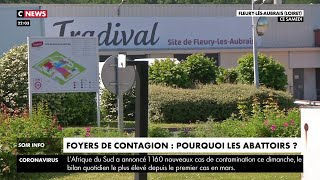 Foyers de contagion : pourquoi les abattoirs ?