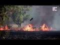 Meet the Pilots Battling Europe’s Wildfires