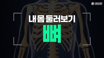 뼈 [내 몸 둘러보기]