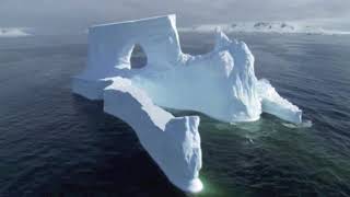 El Paisaje polar y el clima polar: oseznos, pingüinos, ballenas sobreviviendo en este lugar.