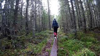 🛑In The Wilderness It Is Nice To Walk-Vild Natur I Villmarken-Erämaan Armoilla 🛑In The Wilderness It Is Nice To Walk-Vild Natur I Villmarken-Erämaan Armoilla