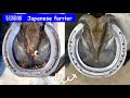 馬の靴屋さん　アルミ装蹄　競馬　乗馬　〜Japanese farrier 装蹄師〜