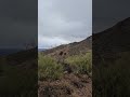 🌵 Go John Trail 🏜️ Sendero de 6 millas en Cave Creek Regional Park #arizona #explorar #sendero