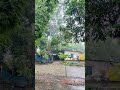 weather ❤️❤️