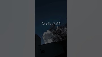 ايات جميله مع الشيخ ياسر الدوسري من سوره الحشر