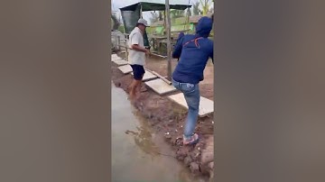 Câu cá chẽm như vậy mới đã