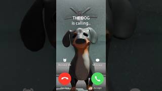 pepper is calling..