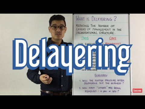 Delayering (Pros, Cons & Evaluation)