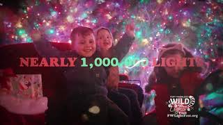 Jingle All the Way to Wild Lights!