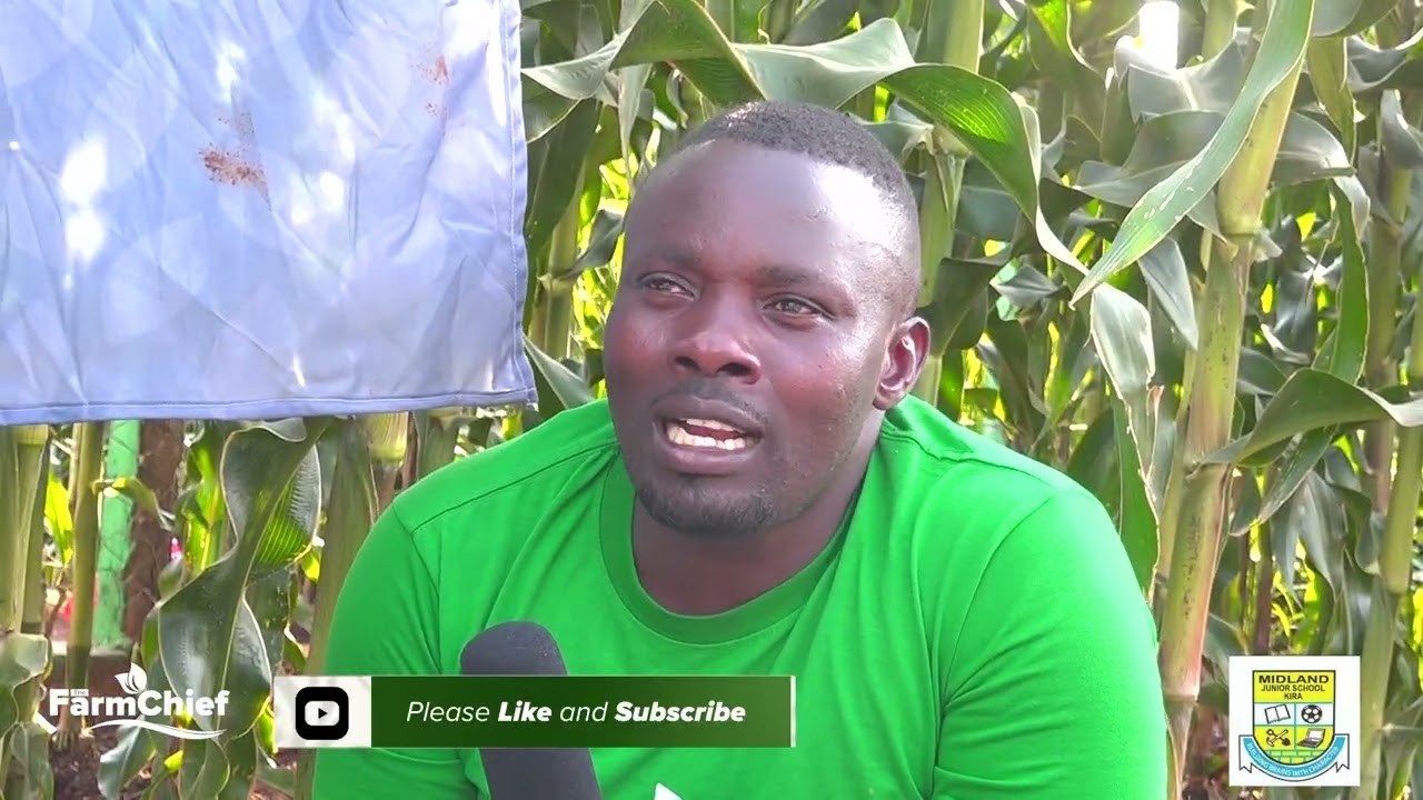 INTRODUCING Fol crop-B-Mo (FERTILIZER)