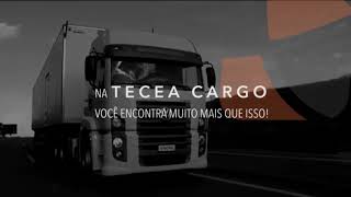Carga Fracionada e Distribuição - Tecea Transportes
