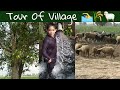 Tour of village  tubewell supply water to fields  ht toh official