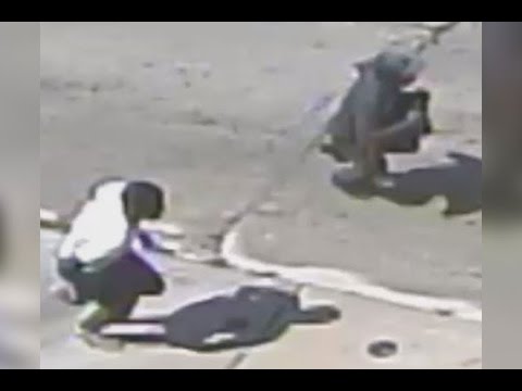 Robbery 59xx block of N Hutchinson St DC 16 35 037186 camera iphone 8 plus apk