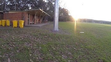 QAV500g CC3D Horizon hold test