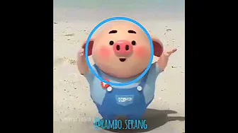 Bang beca piggy