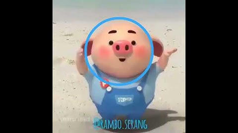 Thumbnail of Bang beca piggy