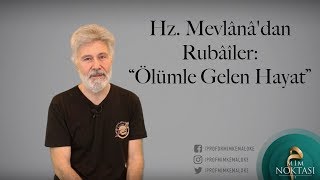 Hz. Mevlânâ'dan Rubâîler: “Ölümle Gelen Hayat”