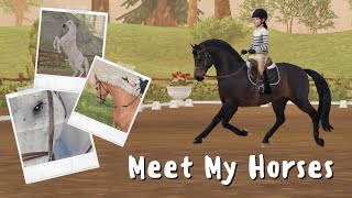 Meet The Horses || SSO RRP || Bethany Mountainwood