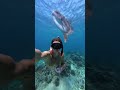 MOLA MOLA! #bali #gilitrawangan #molamola #travel #southeastasia