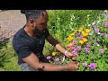 Jason&#39;s story - Gardening for mental health and wellbeing
