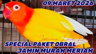 SPECIAL SALE PACKAGE ✓ MARCH 9, 2026 ✓ SELECT IMMEDIATELY