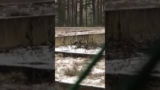 Bockara Sågverk/Bockara Betong - 22 jan 2019