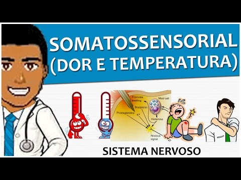Sistema Nervoso 14 – Sistema Somatossensorial II: Dor e Temperatura - Vídeo-aula
