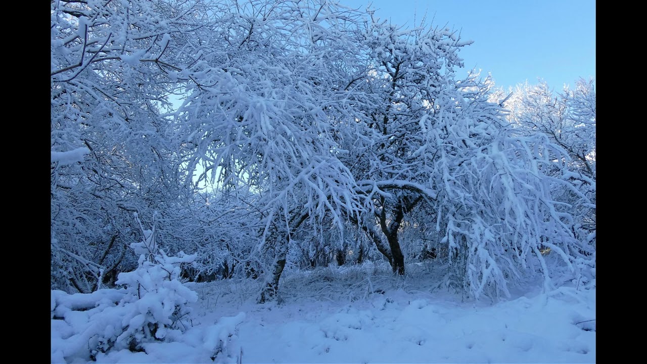 La Vendée sous la neige 6 janvier 2026