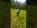 #mountains #uttarakhand #nature #travel #beautiful #trekking #camping #forest #song #shorts #video