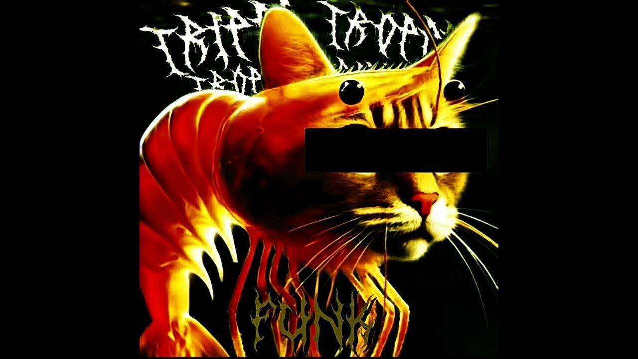 TRIPI TROPI TROPA TRIPA FUNK - TRLXD TRIPI TROPI TROPA TRIPA FUNK - TRLXD