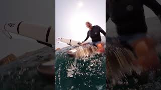 Gopro | Australian Wing Foiler Collides With Whale