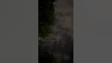 اليسا عيني عليك بطيئ إليسا ليلى ليلى نهار وعمري كله نهار تيك توك اغاني 