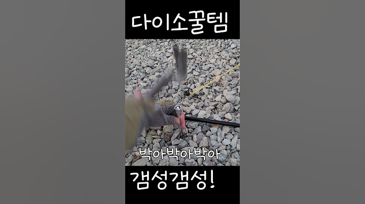가성비 오지는 다이소! #shorts