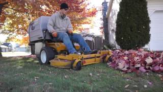 How To Do A Fall Cleanup