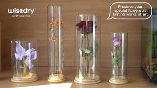 wisedry Glass Jar Display Case with Bamboo Base for Dried Flowers