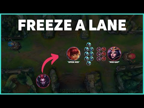 FREEZE - MACRO