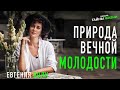 Открытая встреча "Природа вечной молодости" Евгения Волк