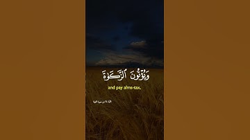 القران الكريم / اللهم صلِّ على محمد وآل محمد #راحة_نفسية #المصحف #الرحمن