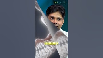 Top 10 Biotech Jobs Gen Z Will Love in 2026!