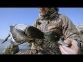 Lake Erie Diver Duck Hunting Video Avian X Desolation Youtube
