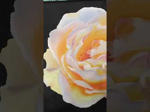 “Blush White Rose”