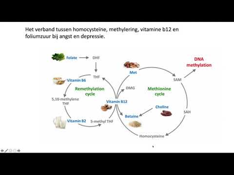 Video: Verschil Tussen CRP En Homocysteïne