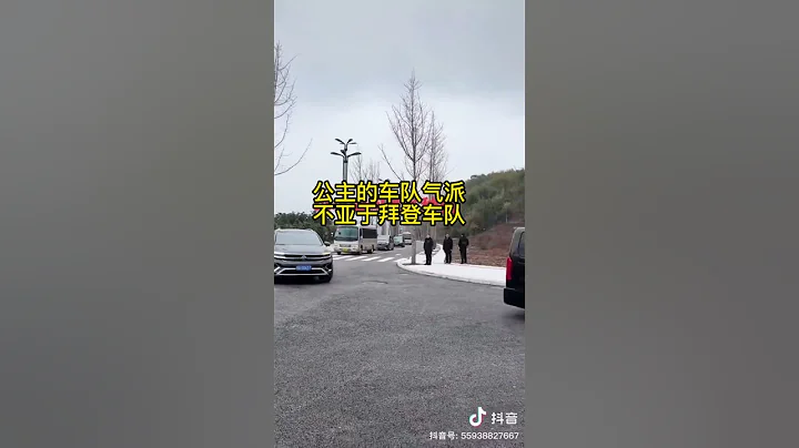 李鵬之女，李小琳的豪華車隊高調回老家祭祖，像不像黑社會老大出街？ - 天天要聞