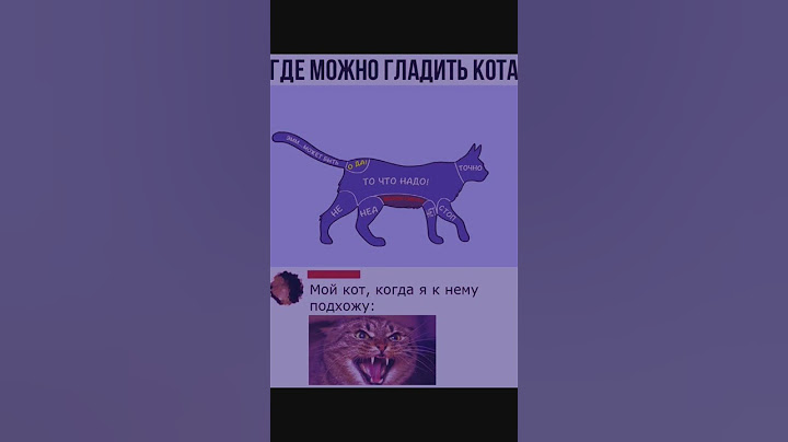 Где можно гладить кота😁