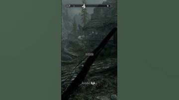Killing Random NPCs In Skyrim Until The Elder Scrolls 6 (Week 50)