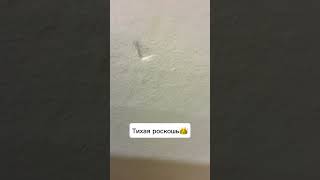 То неловкое чувство когда все настолько идеально что начинаешь искать к чему бы придраться. #ремонт