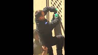Firefighter saves kitten