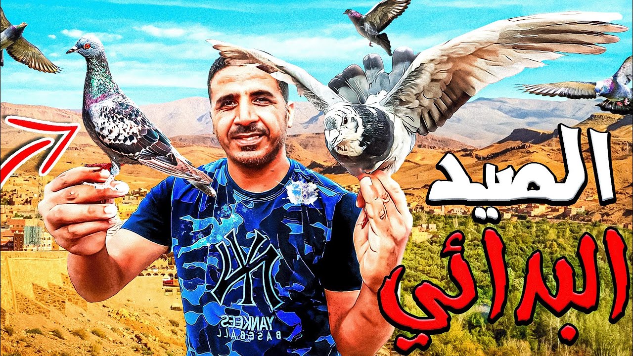 حياة البرية : تحدي صيد الحمام البري  بفخ بدائي 😱 اخيرا وجدت سلحفاة برية ...وثائقي!!!